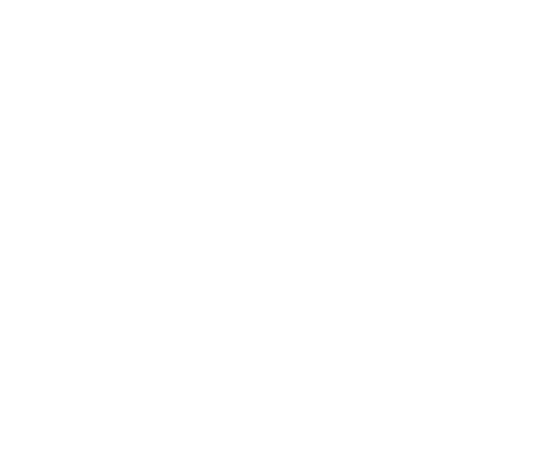 fantastic resort wedding venue texas logo