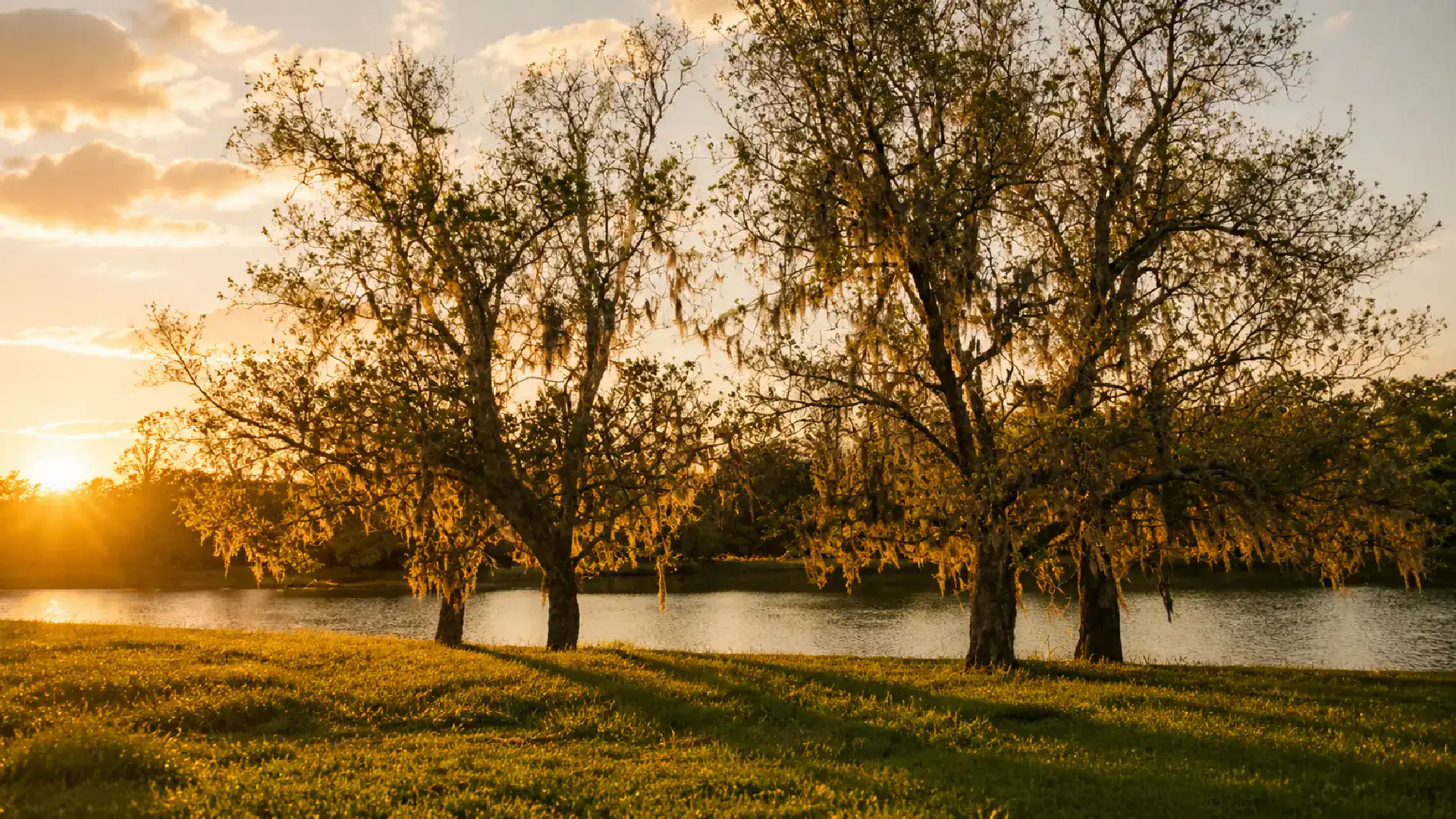 romantic waterfront wedding venue near houston ceremony with trees